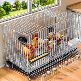 鸡笼子家用室外大号自动清粪养鸡笼鸭笼子室内小鸡鸽子笼子鸡窝笼