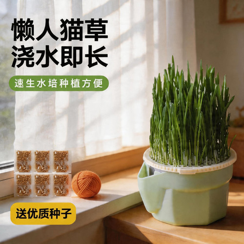 猫草水培盆懒人水培杯种植猫草杯盆栽排毛球化毛草猫草盆猫咪零食