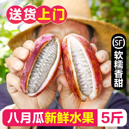 【软糯香甜】八月瓜新鲜水果！