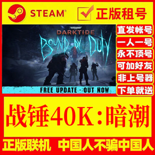 steam游戏 战锤40K：暗潮 DLC全皮肤 在线多人联机 Steam游戏出租