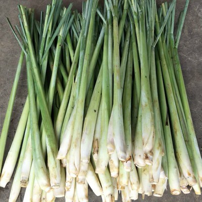 新鲜香茅草Freshlemongrass500g