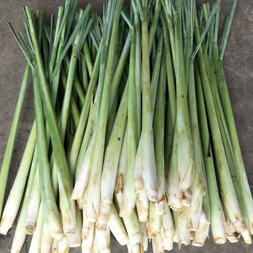 新鲜香茅草Freshlemongrass500g