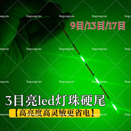 【漂尾】三珠亮LED日夜两用漂尾