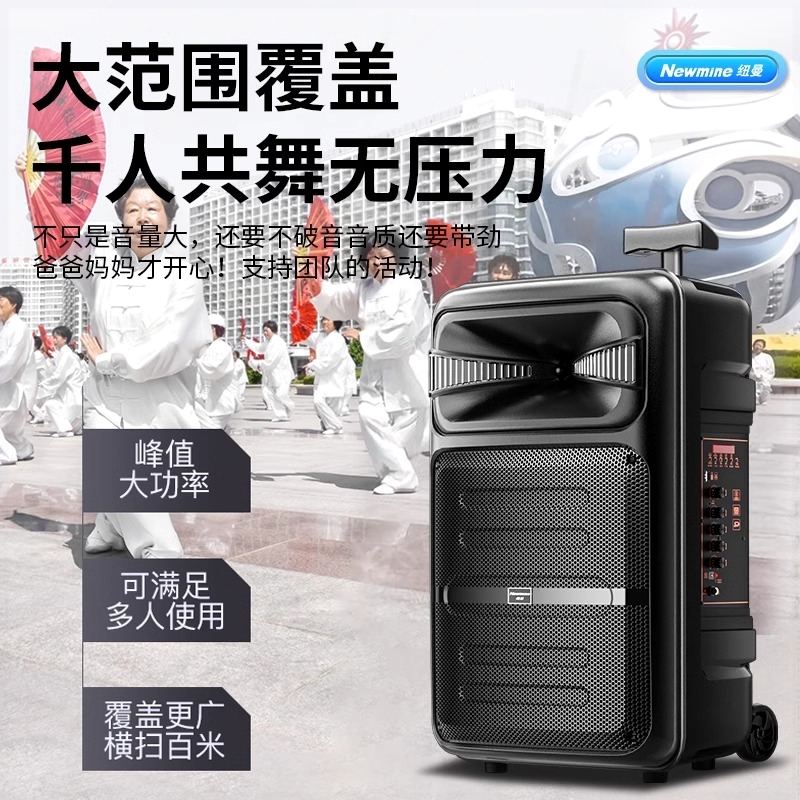 纽曼A12广场舞音响户外演出k歌专