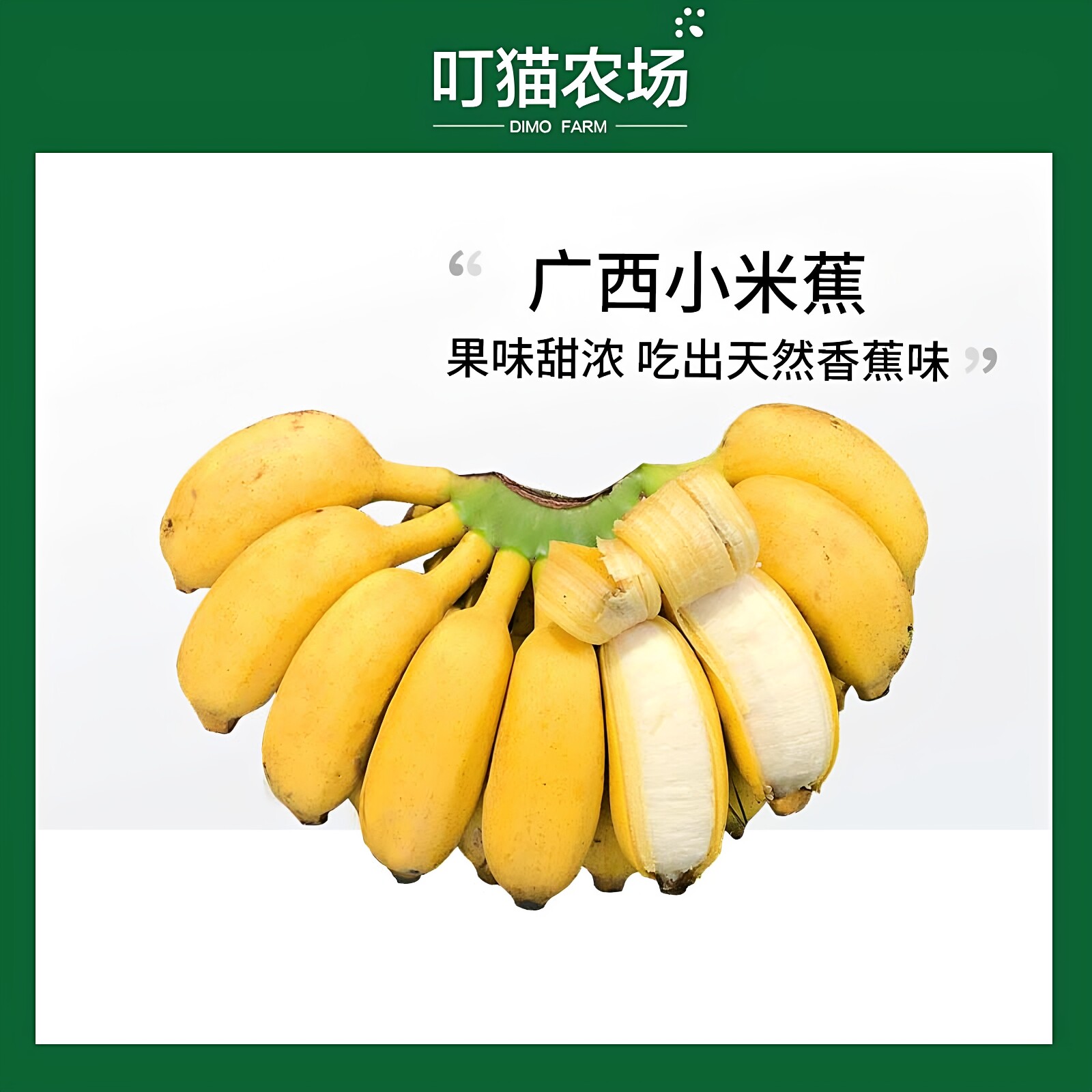 广西小米香蕉生态水果甜糯心香蕉水果不泡药7分自然熟9斤需催熟