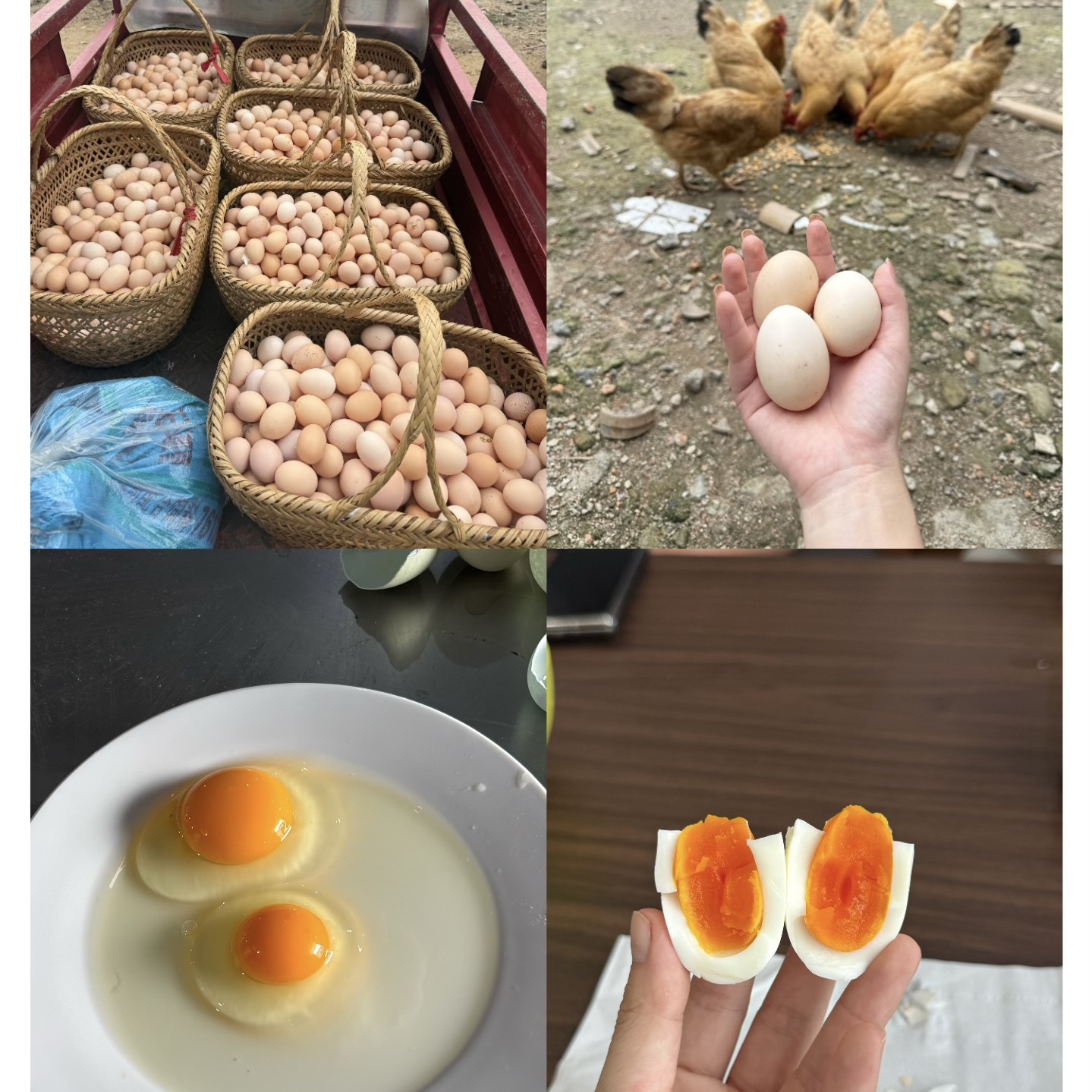 叮猫农场土鸡蛋山林散养顺丰包邮