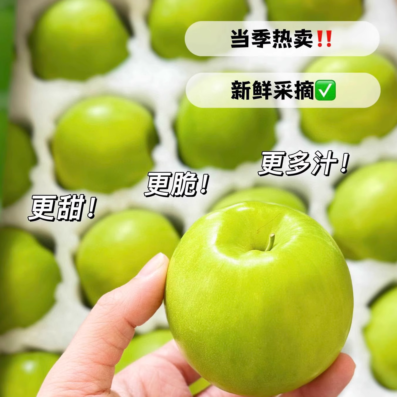 云南糖斑苹果枣新鲜精品水果西双版纳脆甜大青枣年货礼盒京东速达,水产肉类/新鲜蔬果/熟食,枣,淘宝优惠券,粉丝福利购,淘宝优惠卷