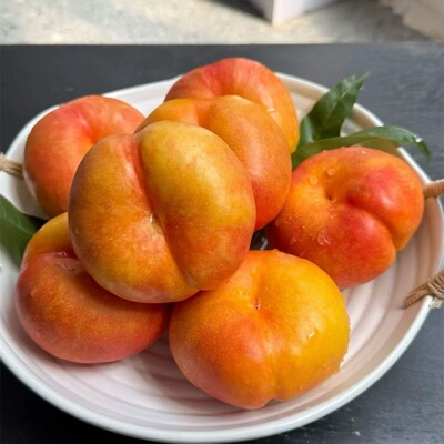 蒙阴头茬黄油桃现采现发顺丰