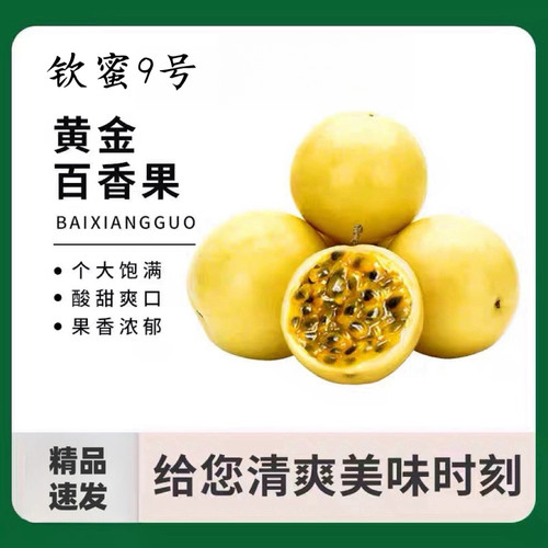 黄金百香果新鲜3斤大果包邮当季