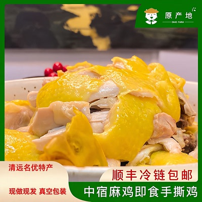正宗中宿麻鸡清远真空熟食顺丰
