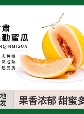 甘肃民勤沙漠黄金瓜多汁6斤