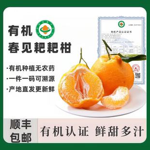 四川有机春见耙耙柑浦江桔子一件一码蜜柑有机认证水果手剥橘8斤