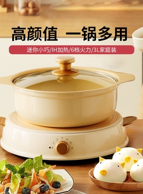 IRIS/爱丽思 IHLP-R14C日本电磁锅电煮锅炉火锅家用陶瓷电热小火