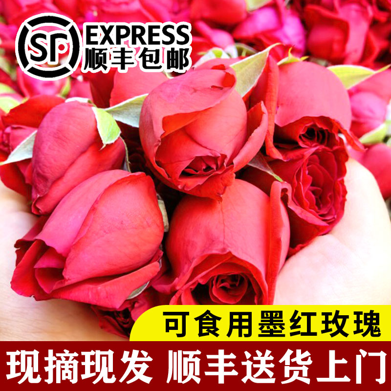 云南可食用墨红玫瑰鲜花现摘现发图片