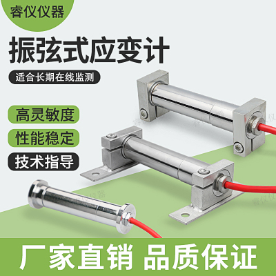 大水牛振弦式应变计提供技术指导