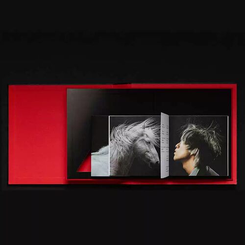 正版唱片林宥嘉新专辑 王 Love Lord Music Art Book CD