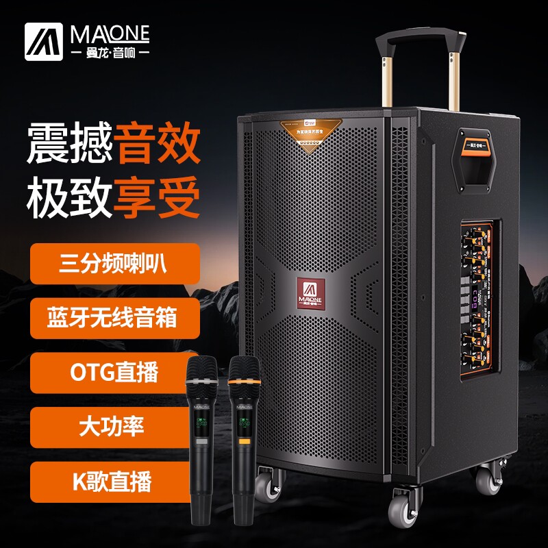 曼龙音箱户外音响k歌大功率专业