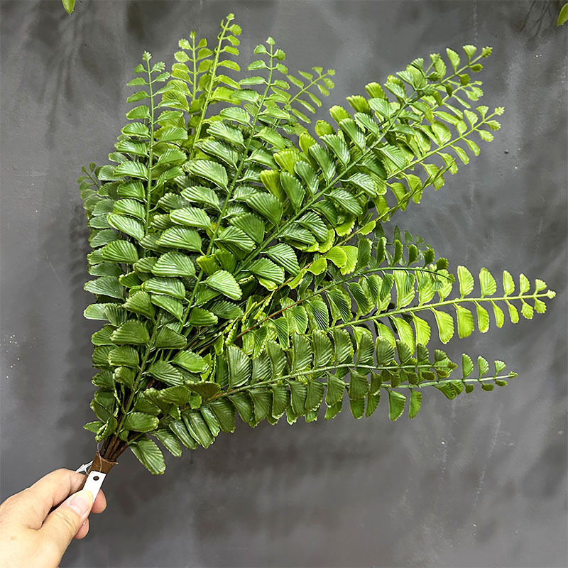 仿真绿植假波斯草鱼尾凤凰草蕨类植物背景墙造景装饰摄影道具