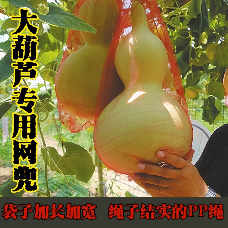 葫芦防坠网兜大葫芦专用编织托网红薯板栗分装袋绳红黄色纱网袋