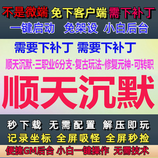 11G-PC传奇单机顺天沉默三职业6分支修复元神GM后台大背包LF