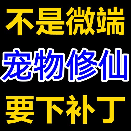 LF-补丁5G-宠物修仙录2个大陆-三职业9副职-鉴定-佣兵穿装备-魔次