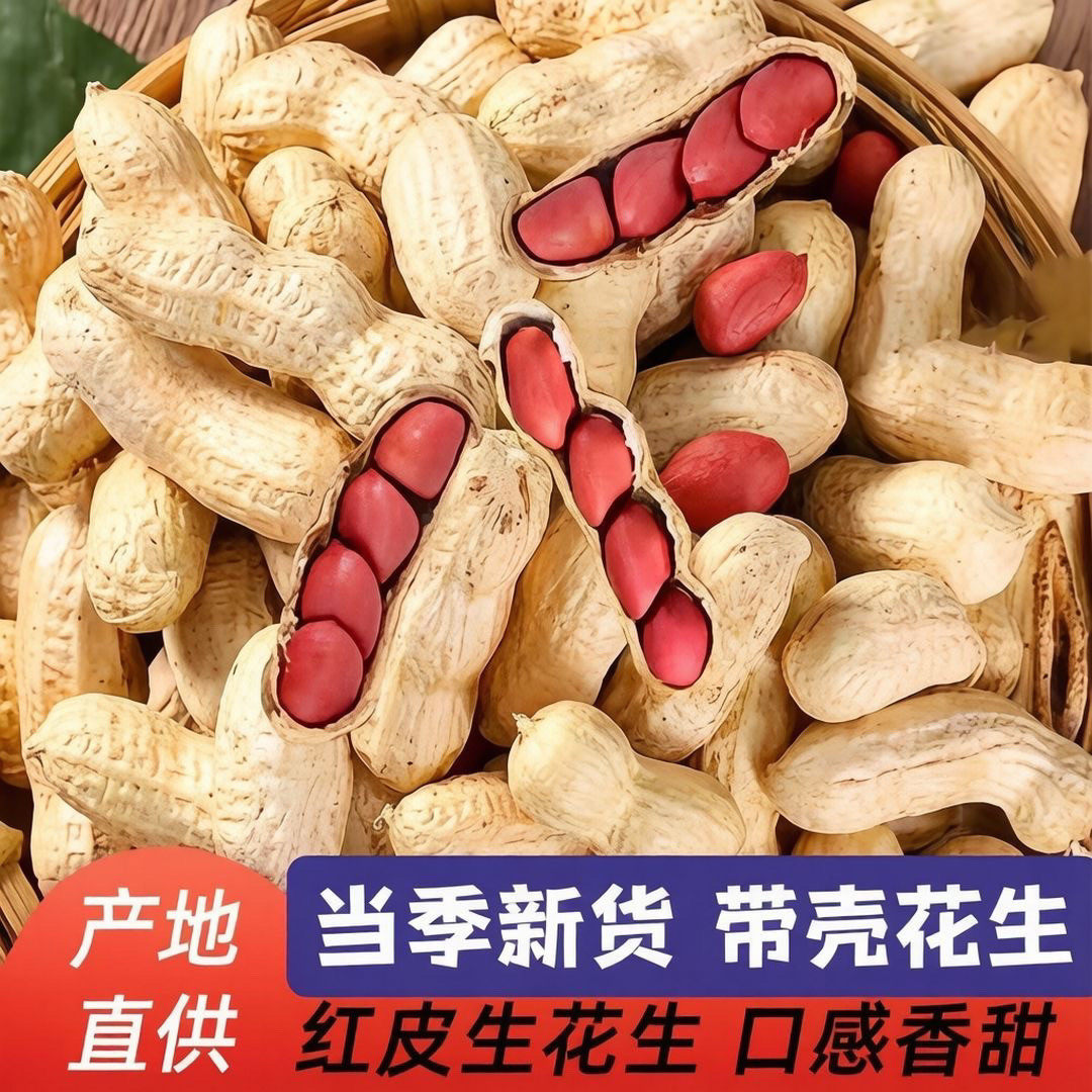 花生福建龙岩湿烤花生带壳正宗水煮咸干原味紫衣红皮袋装连城食品