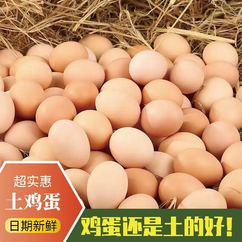 农家散养土鸡蛋谷物喂养初生蛋