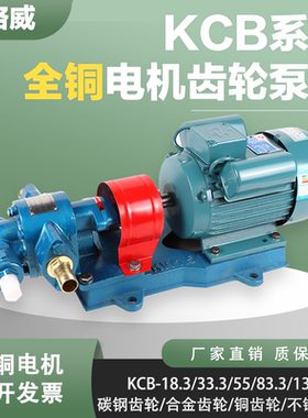 电动KCB齿轮油泵增压泵防爆不锈钢齿轮泵自吸油泵电机组380V/220V