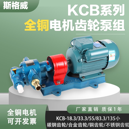 高粘度KCB齿轮油泵铜齿轮防爆耐高温不锈钢大流量自吸泵380V/220V