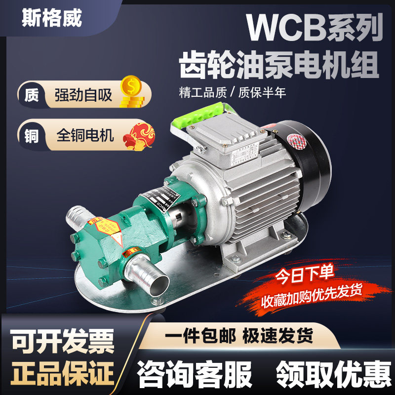 齿轮泵源邦碳钢手提油泵电动自吸图片