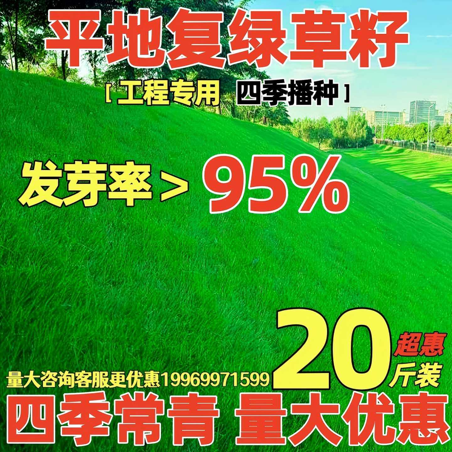 草坪草籽四季常青护坡固土狗牙根地毯草种子庭院绿化黑麦草种籽孑