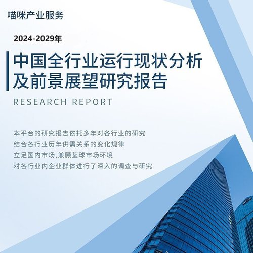 2025版行业报告市场研究竞争分析前景预测产品调研战略及数据分析