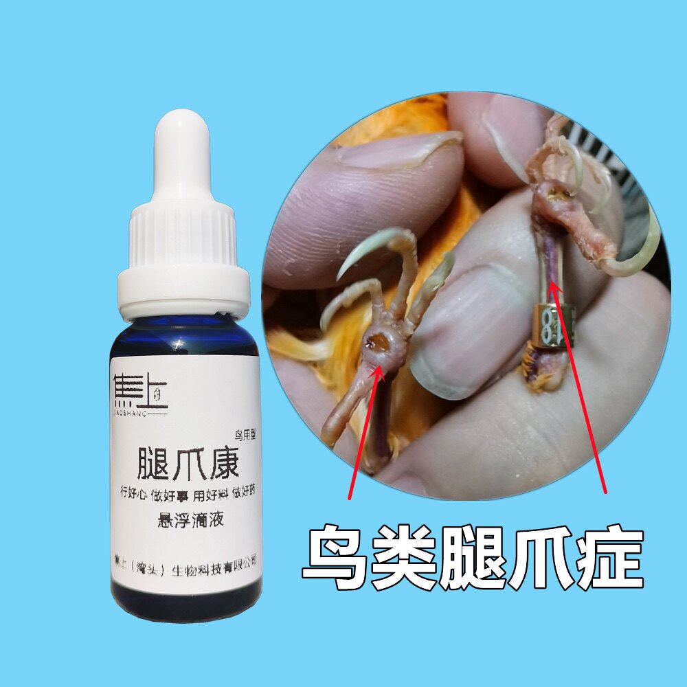 鸟用型玉鸟烂爪红肿起疙瘩红线靛颏脚掌流黄水化脓鹦鹉干枯黑爪