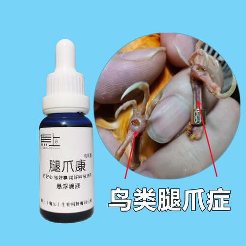 鸟用型玉鸟烂爪红肿起疙瘩红线靛颏脚掌流黄水化脓鹦鹉干枯黑爪