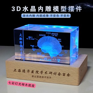 水晶内雕大脑模型摆件医学科研教育道具送老师教授纪念礼品定制
