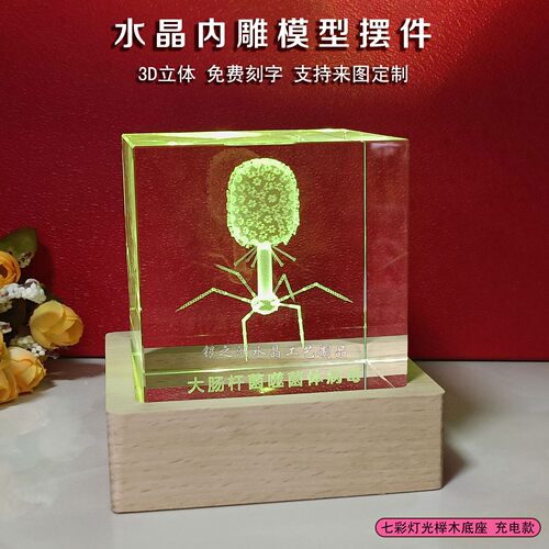 水晶内雕摆件医学生物科研礼品