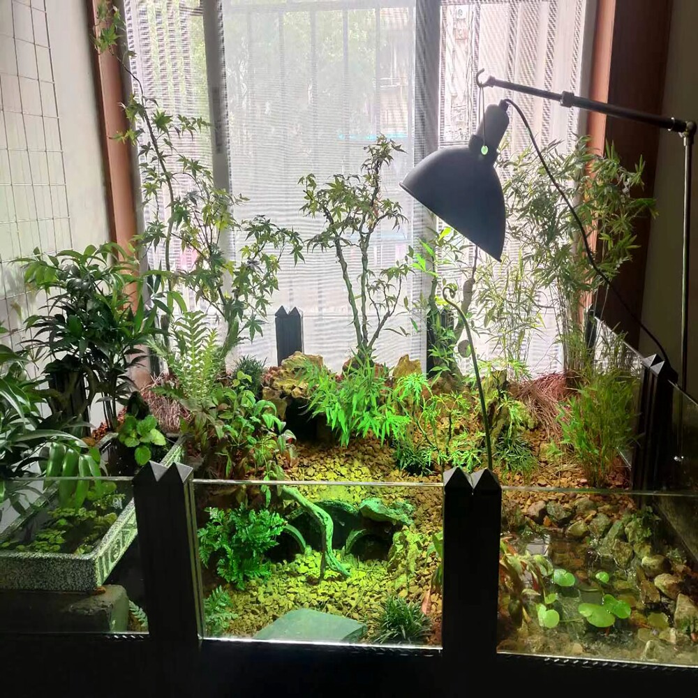 黄缘龟生态水陆龟缸安缘龟饲养环境乌龟缸乌龟箱造景套餐植物垫材