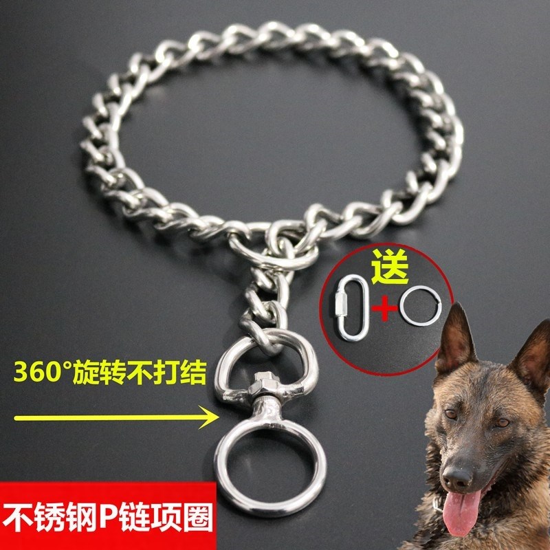 狗项圈马犬专用项圈栓狗绳不锈钢P链大型犬金毛狗狗用品拴狗脖