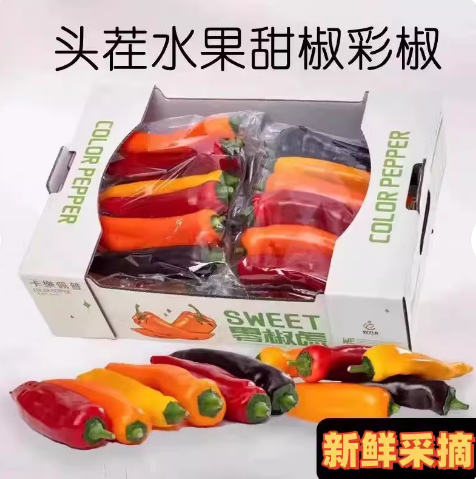 顺丰现摘长彩椒500g爽脆多汁颜色随机泡沫箱发货生吃新鲜水果甜椒,水产肉类/新鲜蔬果/熟食,辣椒,淘宝优惠券,粉丝福利购,淘宝优惠卷