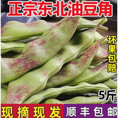 顺丰现摘东北特产油豆角一点红新鲜当季蔬菜九月青两种随机农产品