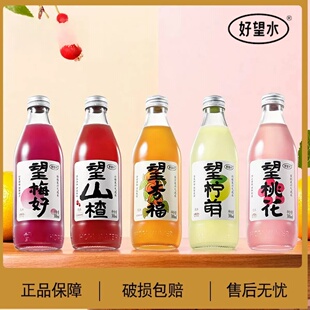 好望水望山楂望梅好果汁气泡水饮料300ml*6瓶健康果汁网红饮料