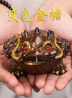 变色茶宠摆件可养招财变色大号金蟾蜍 貔貅 荔枝茶玩精品茶具配件