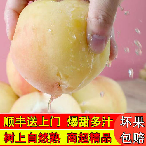 正宗水蜜桃新鲜水果现摘现发
