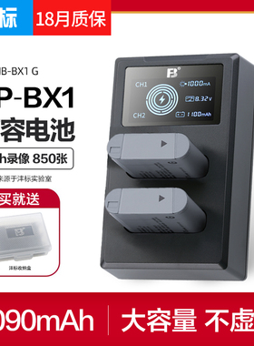 沣标NP-BX1电池for索尼ZV1 F黑卡RX100M7 M6 M5a M4 M3 hx50相机DSC-WX500 RX1Rm2 HX99 90 wx400充电器sony