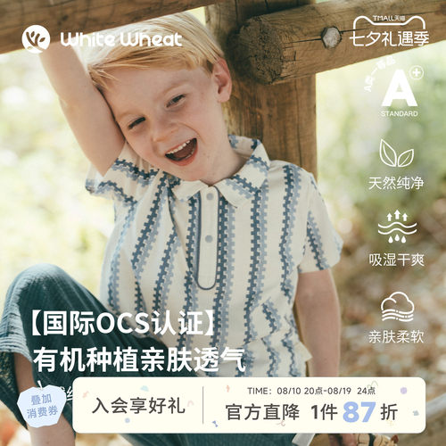 whitewheat蓝色Z字型条纹polo