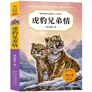 虎豹兄弟情 沈石溪中外动物小说精品升级版全套任选 9-14岁儿童文学励志动物成长故事 三四五六年级小学生课外阅读书籍 复仇的雪狼