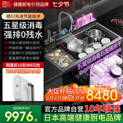 日本栖川集成水槽碎渣强排分层洗