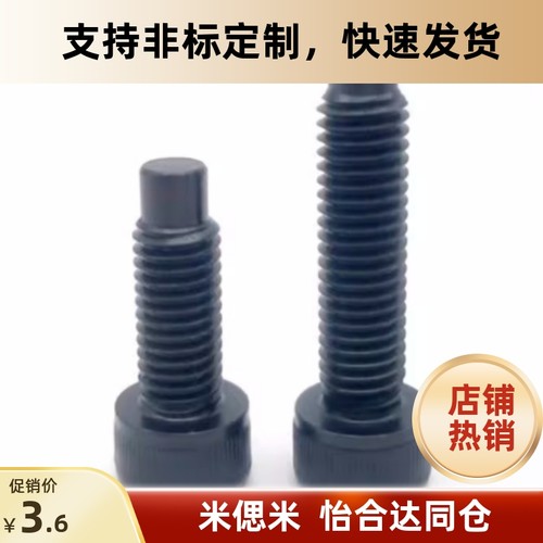 拉伸弹簧用支柱内六角螺栓型