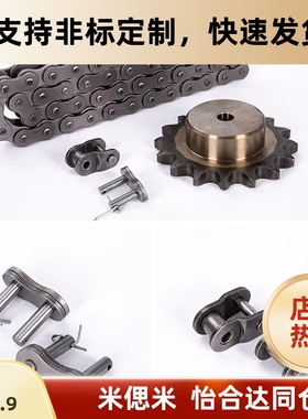 CHEEC链条 CHEED/CHE11/CHE15/CHES25/35/40/50/60/100/80/120