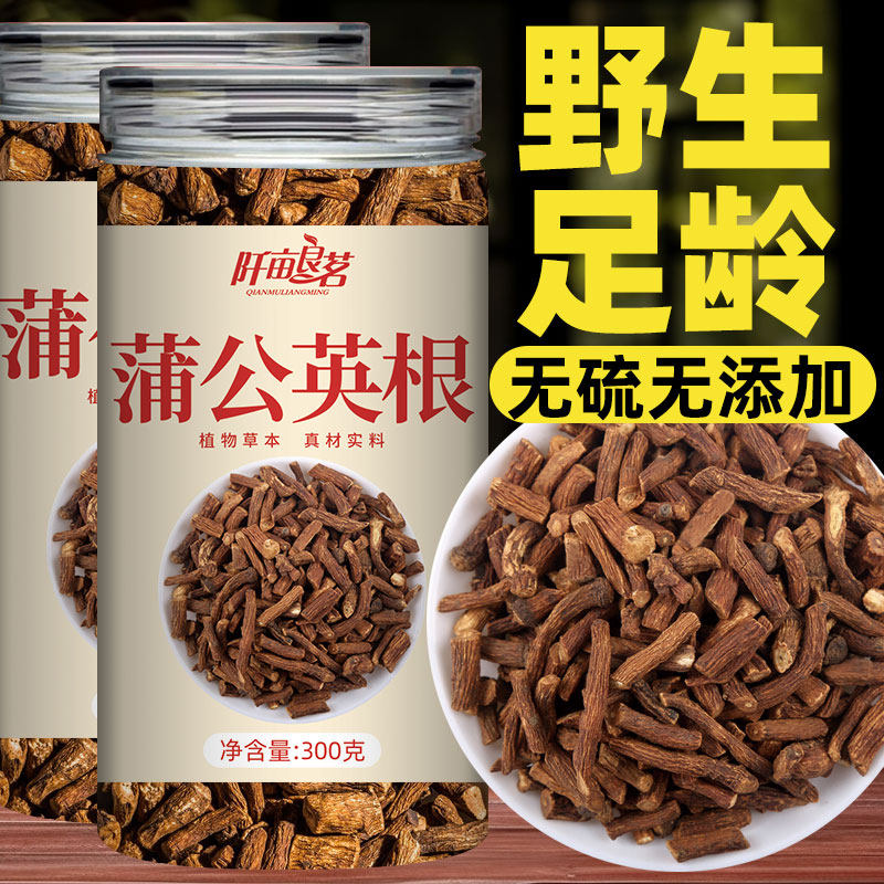 蒲公英根茶长白山浦公英根干片正养生茶